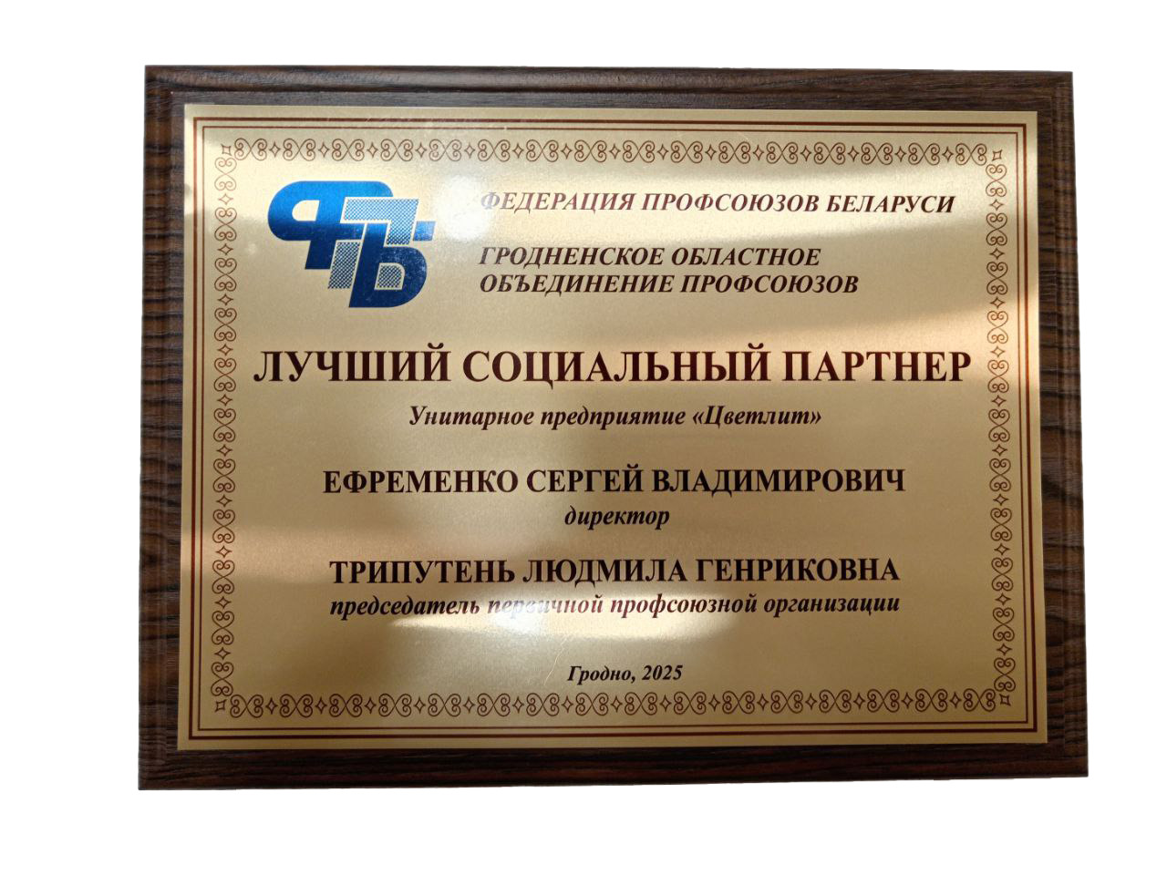 Лучший социальный партнер